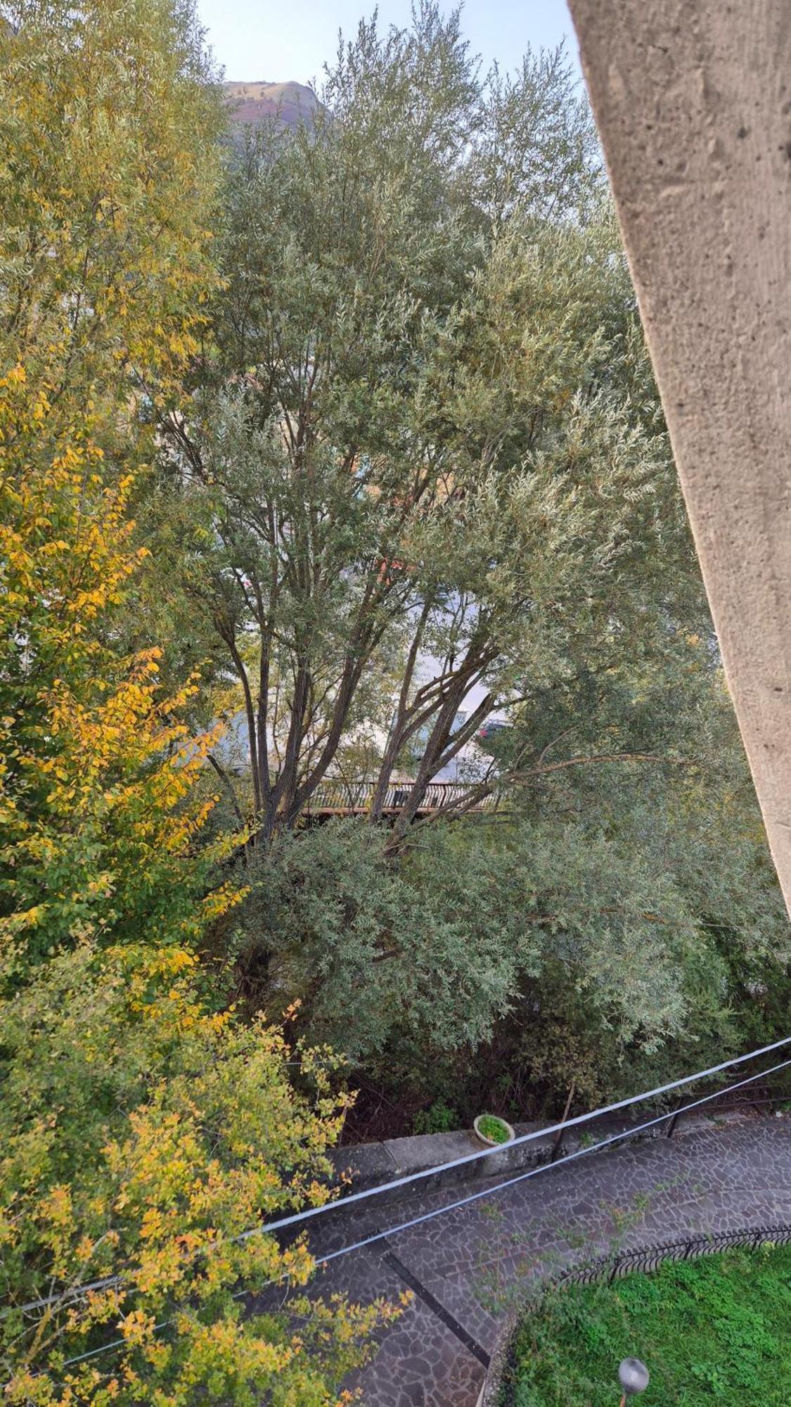Zia Peppa Apartment Castel Di Sangro Bagian luar foto